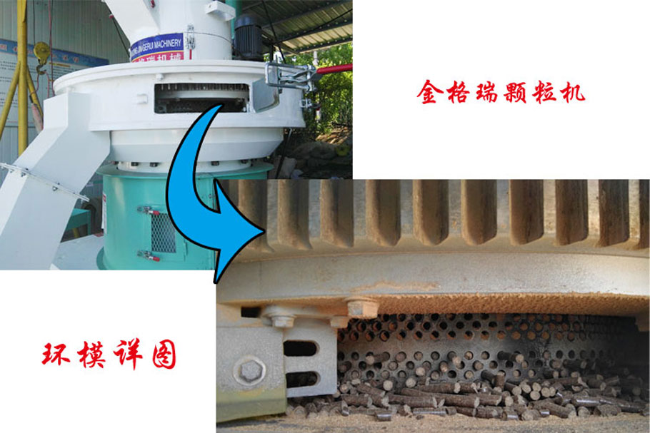 草莓视频污下载APP污