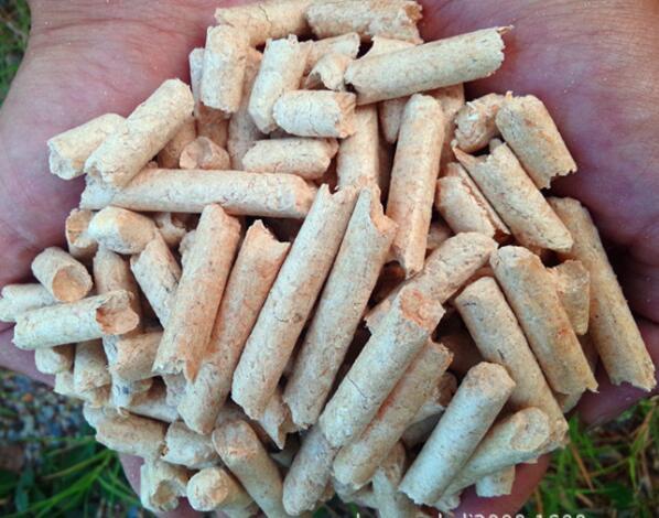 生物质燃料草莓视频污下载APP污械