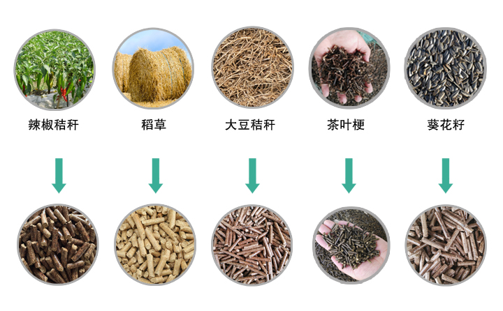 生物质草莓视频污下载APP污械加工的颗粒