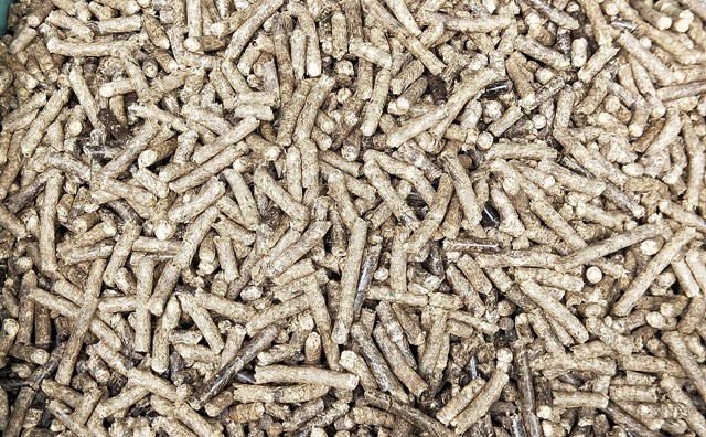生物质草莓视频污下载APP污生物质燃料