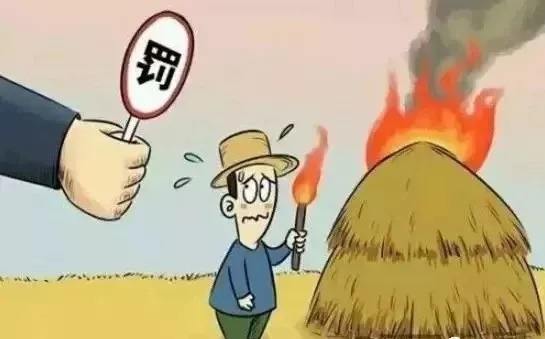 生物质草莓视频污下载APP污械
