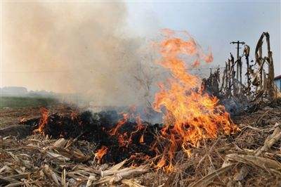 生物质草莓视频污下载APP污械