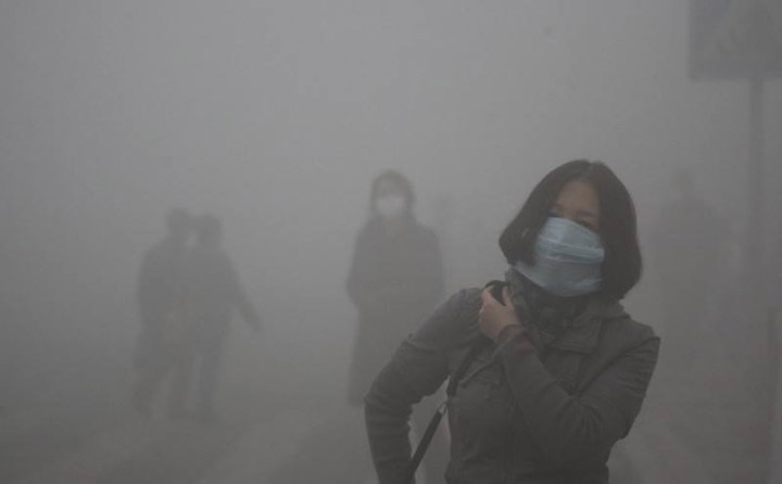 生物质草莓视频污下载APP污械