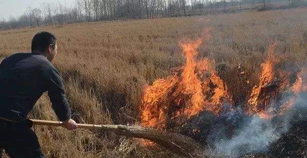 生物质草莓视频污下载APP污械
