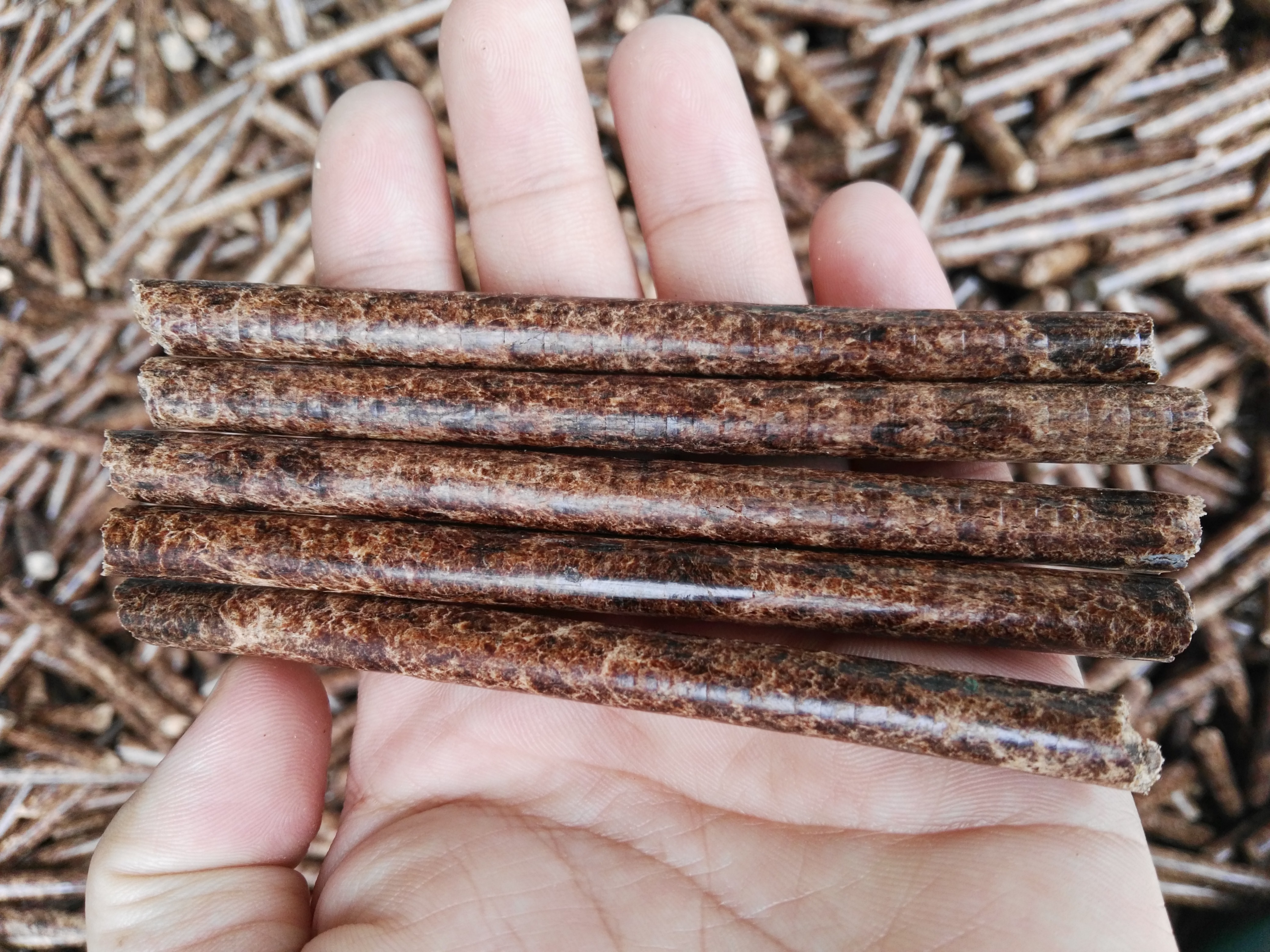 生物质草莓视频污下载APP污械