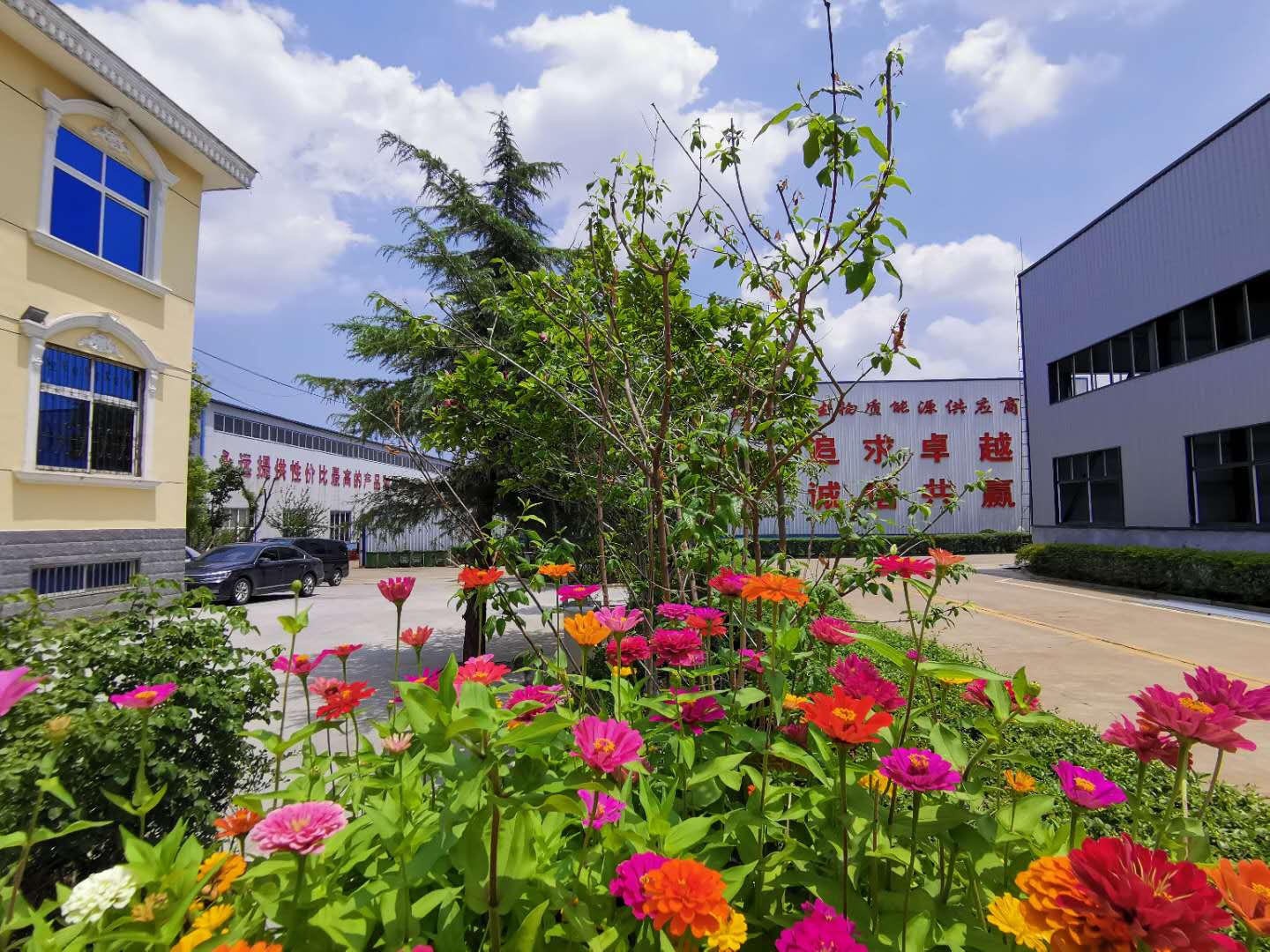 生物质草莓视频污下载APP污械