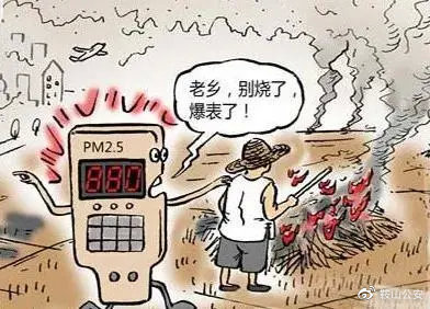 生物质草莓视频污下载APP污械