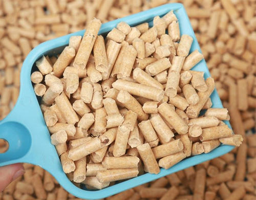 生物质草莓视频污下载APP污加工的生物质颗粒