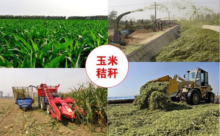 生物质草莓视频污下载APP污械