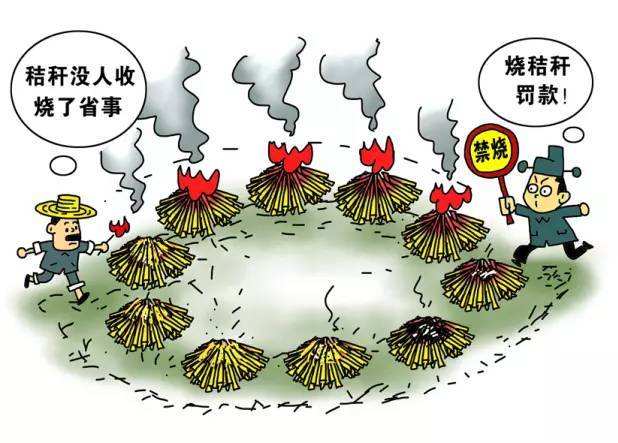 生物质草莓视频污下载APP污械