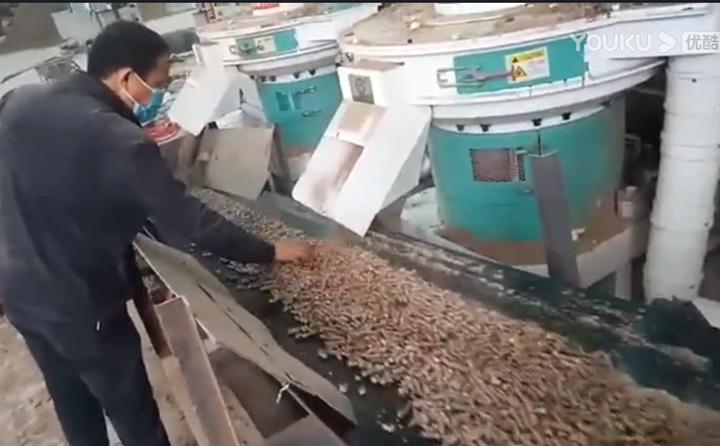 山西张总检查草莓视频污下载APP污制粒情况