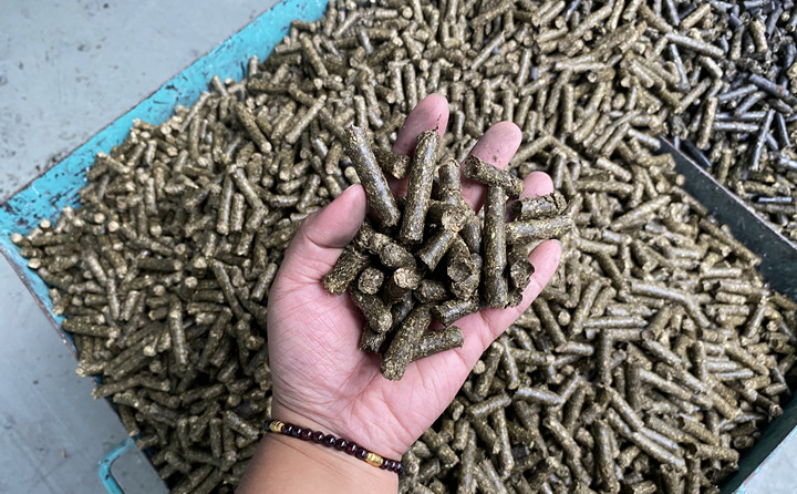生物质草莓视频污下载APP污燃料颗粒