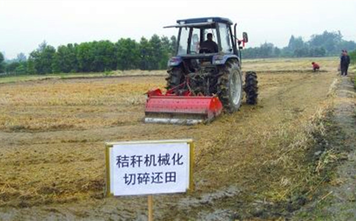 秸秆还田让“地越种越肥、产值越来越高”