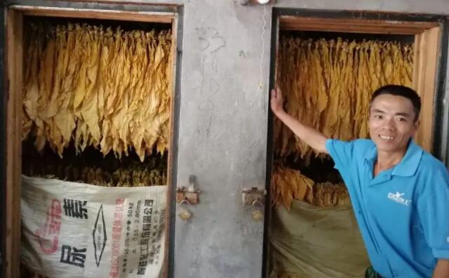 生物质草莓视频污下载APP污颗粒燃料烤烟