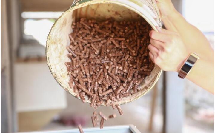 生物质草莓视频污下载APP污的燃料