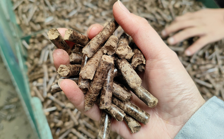 生物质草莓视频污下载APP污加工的颗粒燃料