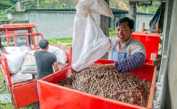 生物质草莓视频污下载APP污加工的生物质颗粒燃料