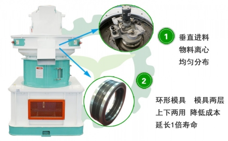 生物质草莓视频污下载APP污投资前景及对能源可持续发展的作用