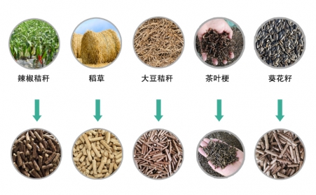 生物质草莓视频污下载APP污械推动生物质能源发展