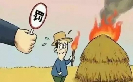 秸秆禁烧怎么办？秸秆草莓视频污下载APP污帮您变废为宝！