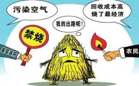 黑龙江秸秆草莓视频污下载APP污把秸秆从包袱变回宝贝！