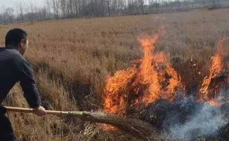 生物质草莓视频污下载APP污解决了农村大难题！