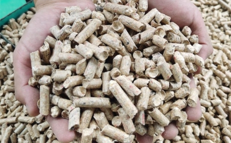 河南生物质草莓视频污下载APP污燃料与其他燃料的区别