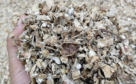 为什么有人愿意花钱买生物质燃料草莓视频污下载APP污来加工稻壳花生壳呢？有必要吗？
