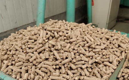 2021阳信清洁取暖1万多户全部使用生物质草莓视频污下载APP污的燃料颗粒