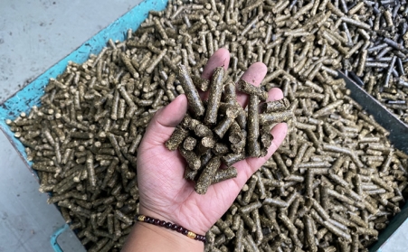带大家了解生物质草莓视频污下载APP污的燃料“使用说明书”