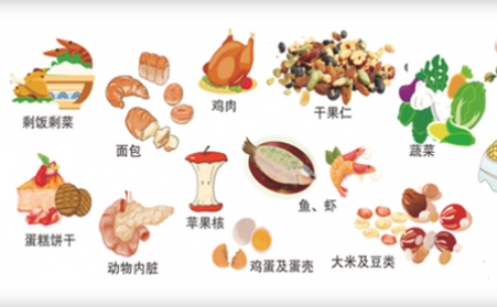 我国明确对非居民厨余垃圾处理按“产生者付费”原则计量收费,你的垃圾怎么办？垃圾生物质草莓视频污下载APP污帮你解决