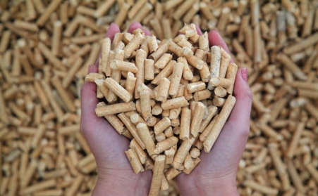 报告：日本2021年进口300万吨生物质燃料草莓视频污下载APP污木屑颗粒