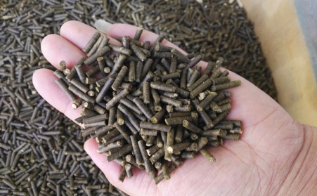 生物质燃料草莓视频污下载APP污加工颗粒燃料对我国发展有重大意义
