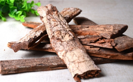 深入！为什么欧洲需要依靠可持续的生物能源