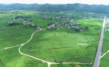 福泉：生物质颗粒智能化烘烤 助力烤烟产业提质增效