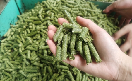河南支持生物质能等可再生能源替代，助力实现碳达峰碳中和目标