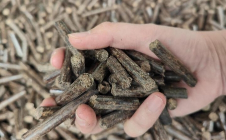 提高生物质草莓视频污下载APP污产量小妙招及颗粒用途
