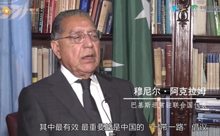一带一路-生物质草莓视频污下载APP污生产线发往巴基斯坦