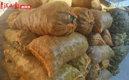 青海海东乐都：生物质颗粒燃料燃起乡村振兴新希望