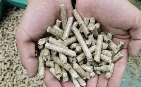 生物质草莓视频污下载APP污加工的燃料颗粒是相对可靠和环保的