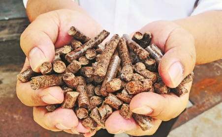 推广生物质燃料利用，农林业废弃物变成“宝贝疙瘩”