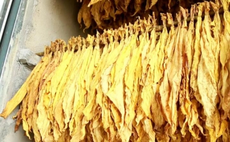 湖北省十堰市竹溪桃源乡：生物质燃料运输正当时