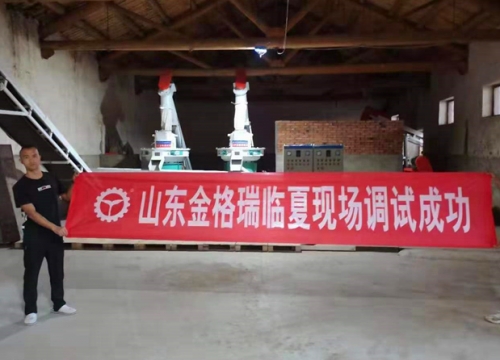 甘肃临夏年产1万5千吨生物质燃料草莓视频污下载APP污生产线调试完成